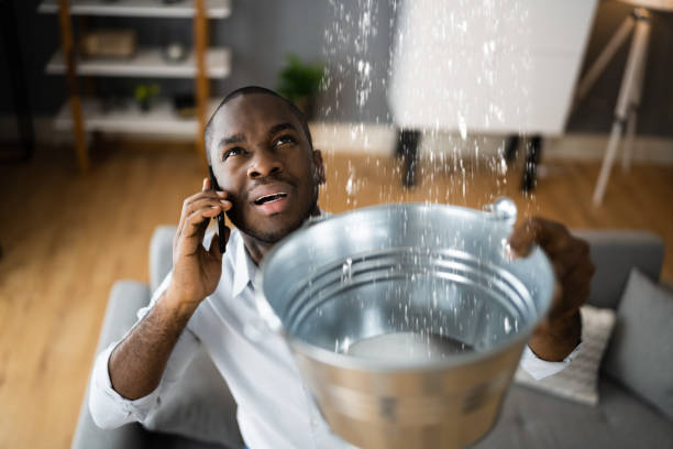 Best Water damage restoration near me  in Emeryville, CA