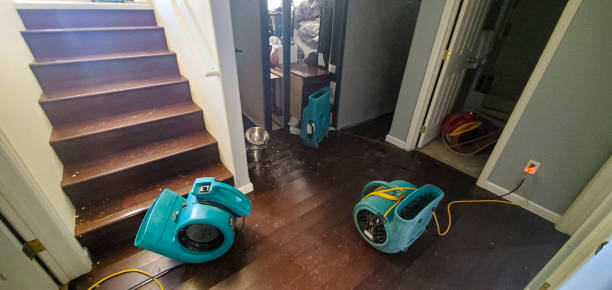 Best Residential water damage restoration  in Emeryville, CA