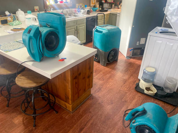 Best Flood damage cleanup  in Emeryville, CA