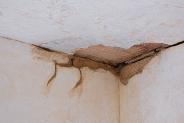 Best Local water damage restoration  in Emeryville, CA