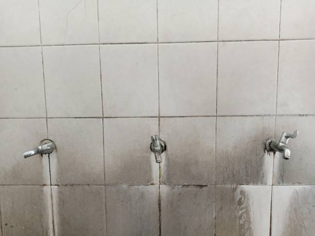 Best Flood damage cleanup  in Emeryville, CA