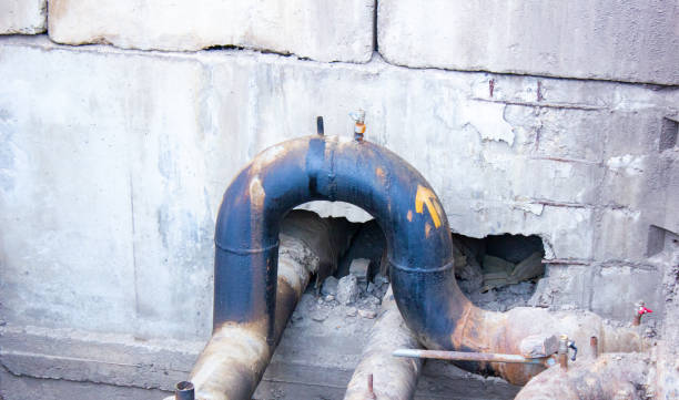Best Water damage contractors near me  in Emeryville, CA